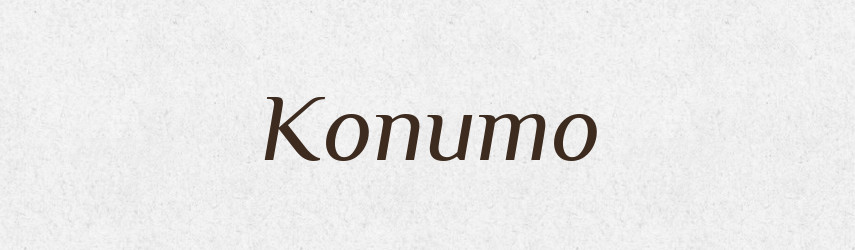 Копито — Фразеологічний словник української мови