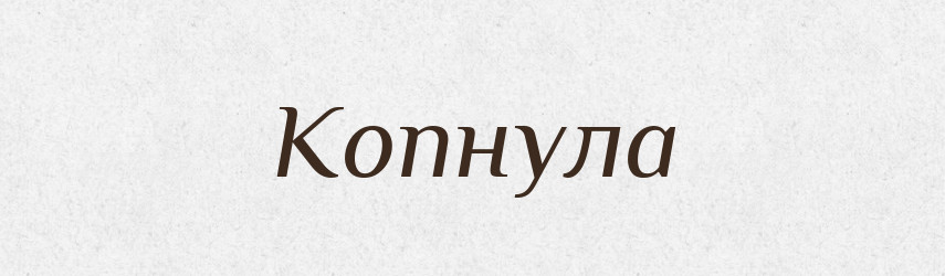 Копнула — Фразеологічний словник української мови