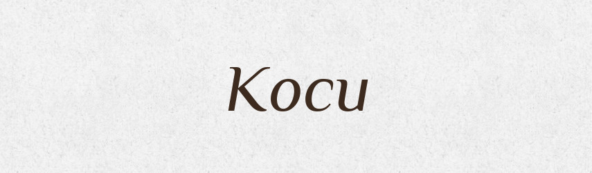 Коси — Фразеологічний словник української мови