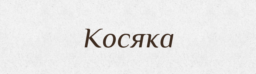 Косяка — Фразеологічний словник української мови