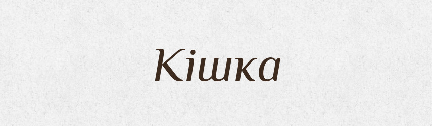 Кішка — Фразеологічний словник української мови