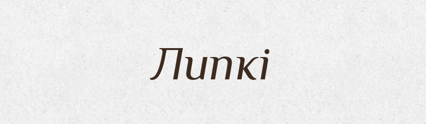 Липкі — Фразеологічний словник української мови