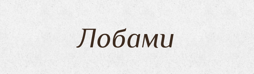 Лобами — Фразеологічний словник української мови