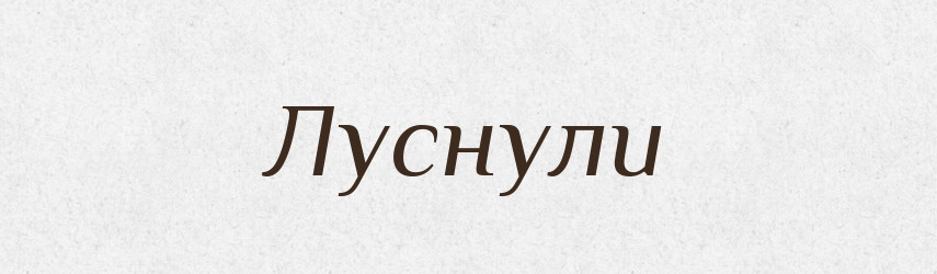 Луснули — Фразеологічний словник української мови