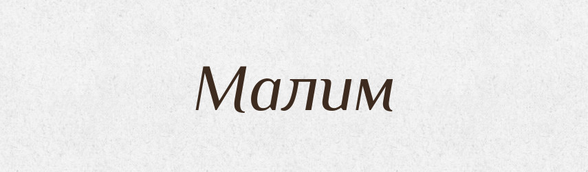 Малим — Фразеологічний словник української мови
