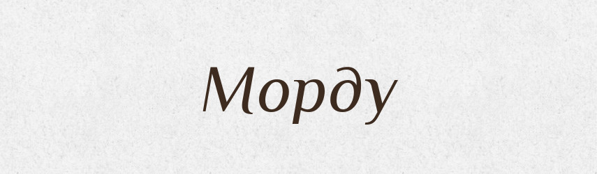 Морду — Фразеологічний словник української мови