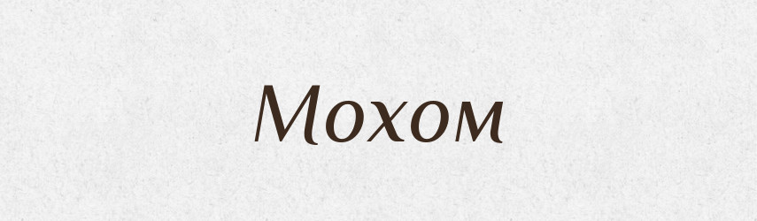 Мохом — Фразеологічний словник української мови