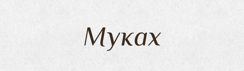 Муках — Фразеологічний словник української мови
