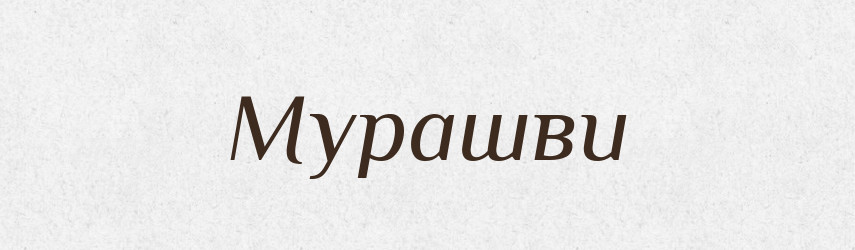 Мурашви — Фразеологічний словник української мови