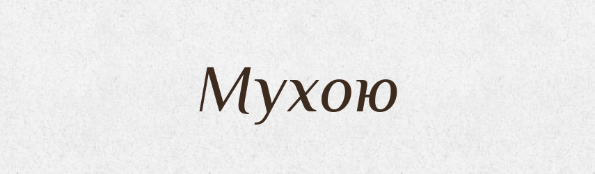 Мухою — Фразеологічний словник української мови