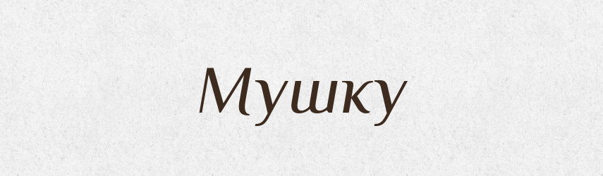 Мушку — Фразеологічний словник української мови