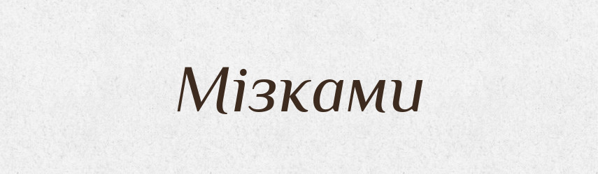 Мізками — Фразеологічний словник української мови