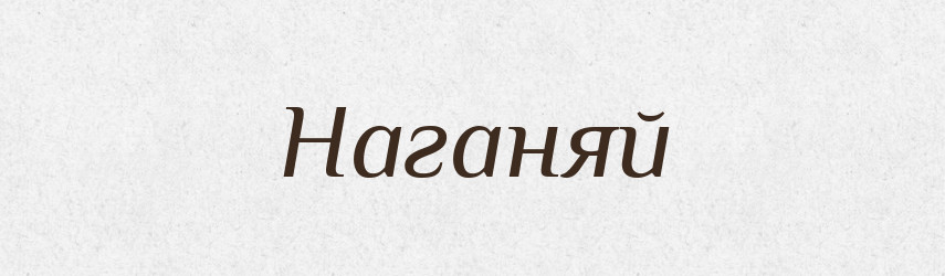 Наганяй — Фразеологічний словник української мови