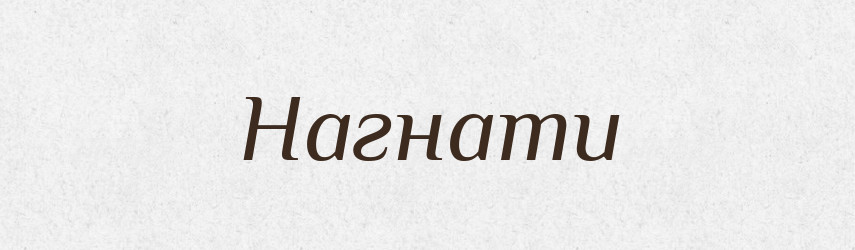 Нагнати — Фразеологічний словник української мови