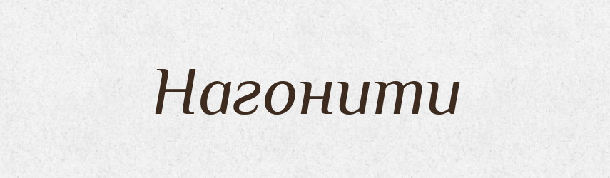 Нагонити — Фразеологічний словник української мови