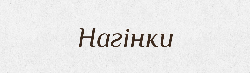 Нагінки — Фразеологічний словник української мови