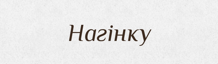 Нагінку — Фразеологічний словник української мови