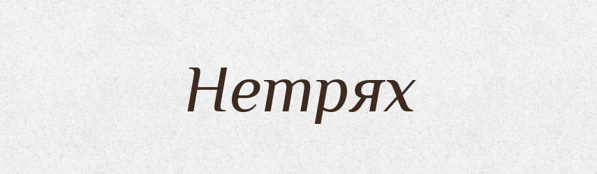 Нетрях — Фразеологічний словник української мови