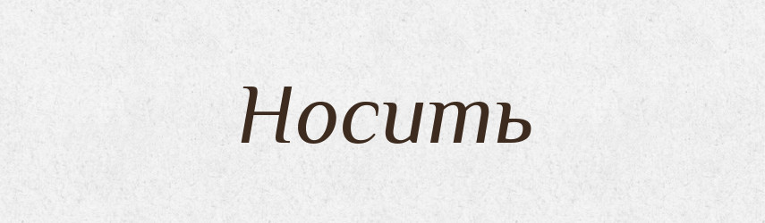 Носить — Фразеологічний словник української мови