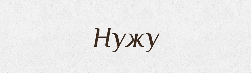 Нужу — Фразеологічний словник української мови