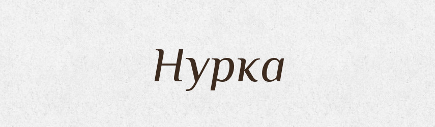 Нурка — Фразеологічний словник української мови