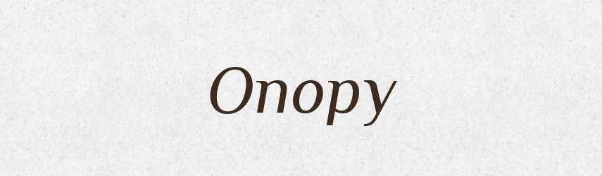 Опору — Фразеологічний словник української мови