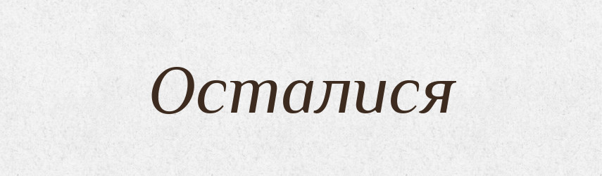 Осталися — Фразеологічний словник української мови