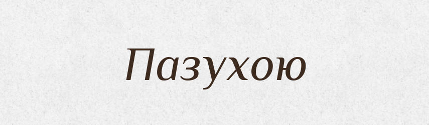 Пазухою — Фразеологічний словник української мови
