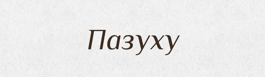 Пазуху — Фразеологічний словник української мови
