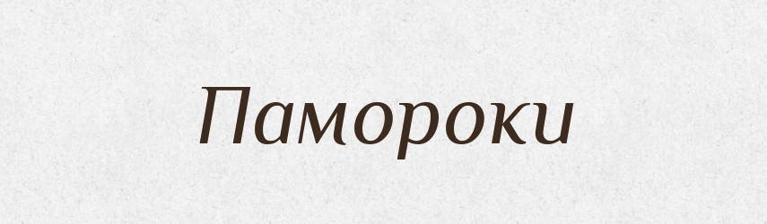 Памороки — Фразеологічний словник української мови
