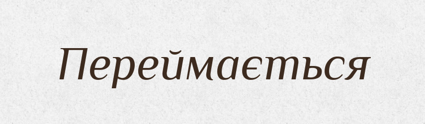 Переймається — Фразеологічний словник української мови