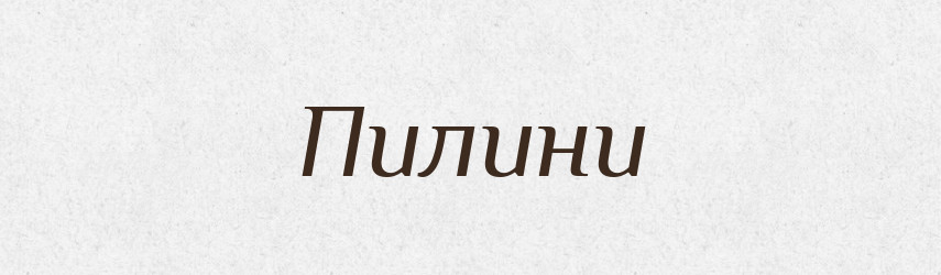Пилини — Фразеологічний словник української мови