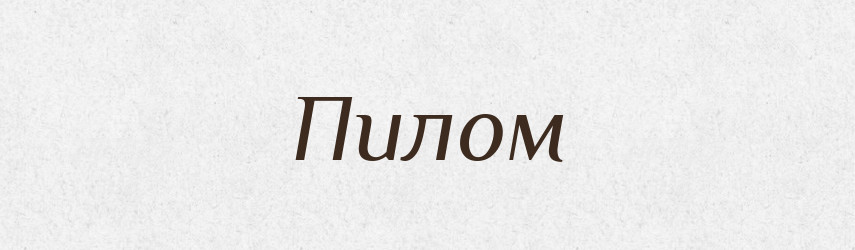 Пилом — Фразеологічний словник української мови