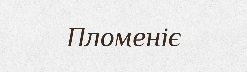 Пломеніє — Фразеологічний словник української мови