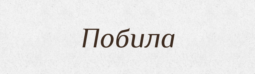 Побила — Фразеологічний словник української мови