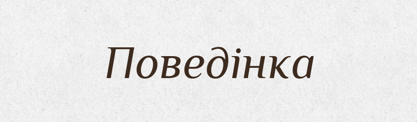 Поведінка — Фразеологічний словник української мови