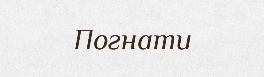 Погнати — Фразеологічний словник української мови