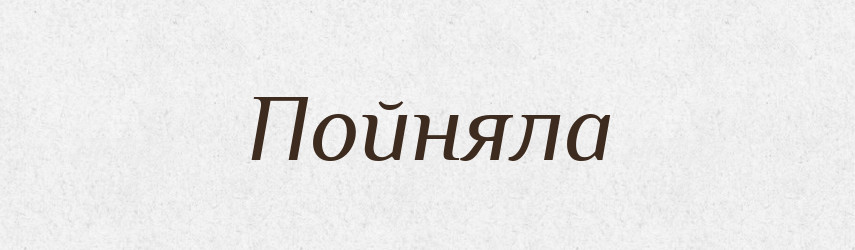 Пойняла — Фразеологічний словник української мови