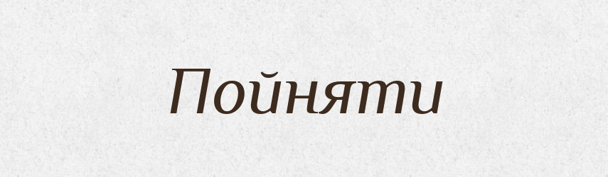 Пойняти — Фразеологічний словник української мови