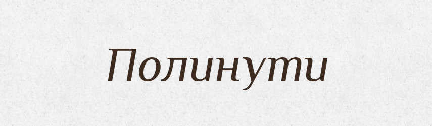 Полинути — Фразеологічний словник української мови
