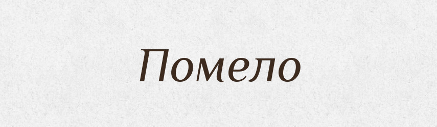 Помело — Фразеологічний словник української мови