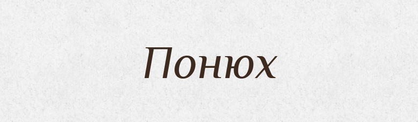 Понюх — Фразеологічний словник української мови