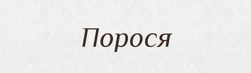 Порося — Фразеологічний словник української мови