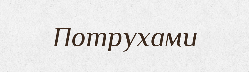 Потрухами — Фразеологічний словник української мови