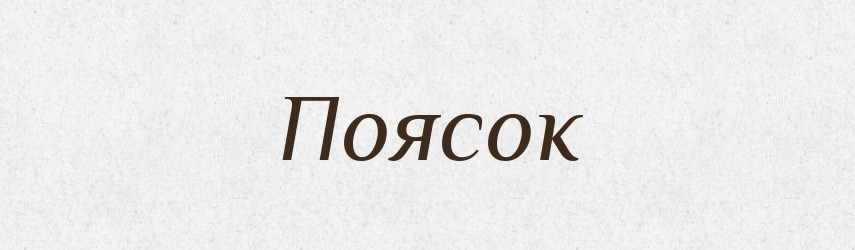 Поясок — Фразеологічний словник української мови