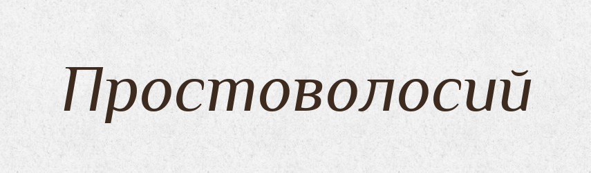 Простоволосий — Фразеологічний словник української мови