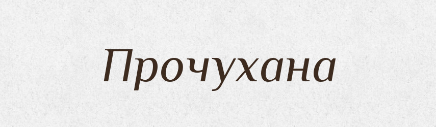 Прочухана — Фразеологічний словник української мови