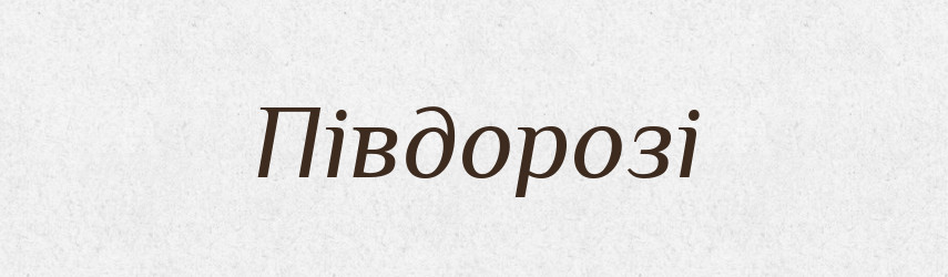 Півдорозі — Фразеологічний словник української мови