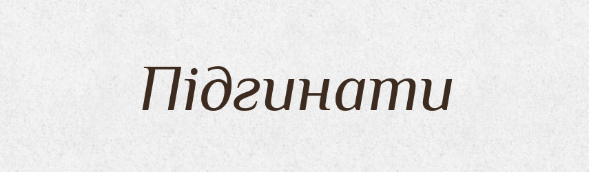 Підгинати — Фразеологічний словник української мови