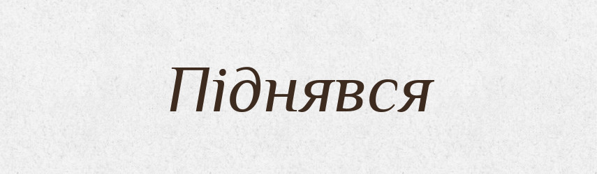 Піднявся — Фразеологічний словник української мови